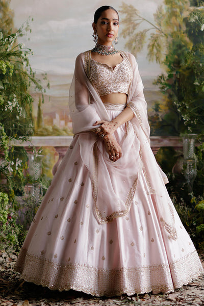 Light shop pink lengha