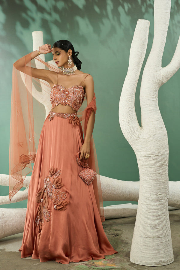 Peach Applique Lehenga Set