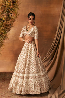 Sana Glow Lehenga Set