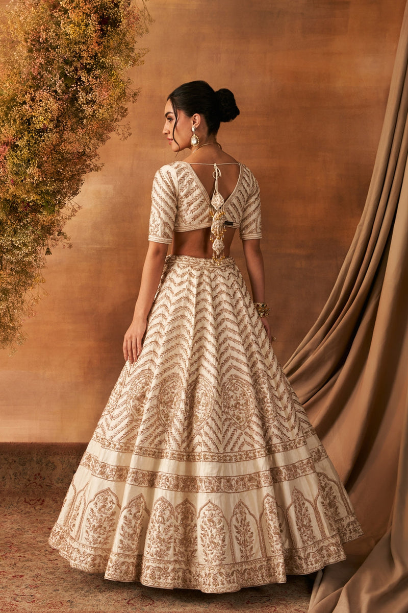 Sana Glow Lehenga Set