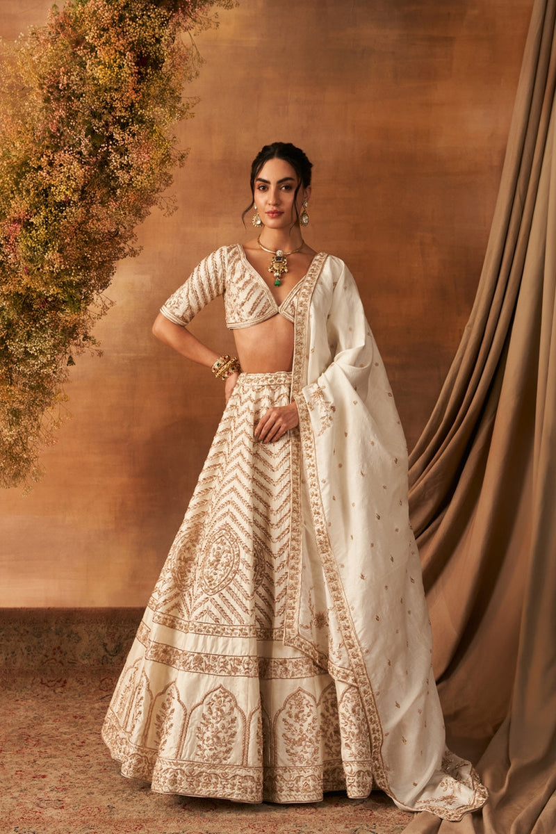 Sana Glow Lehenga Set