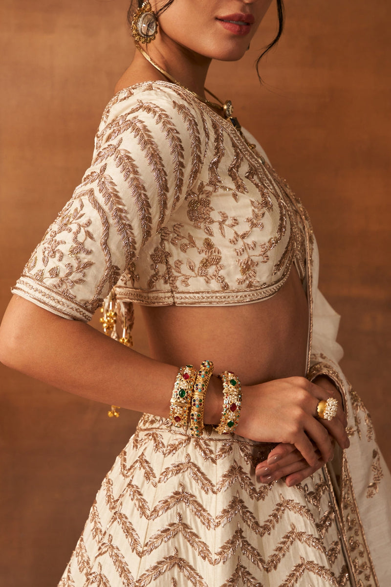 Sana Glow Lehenga Set