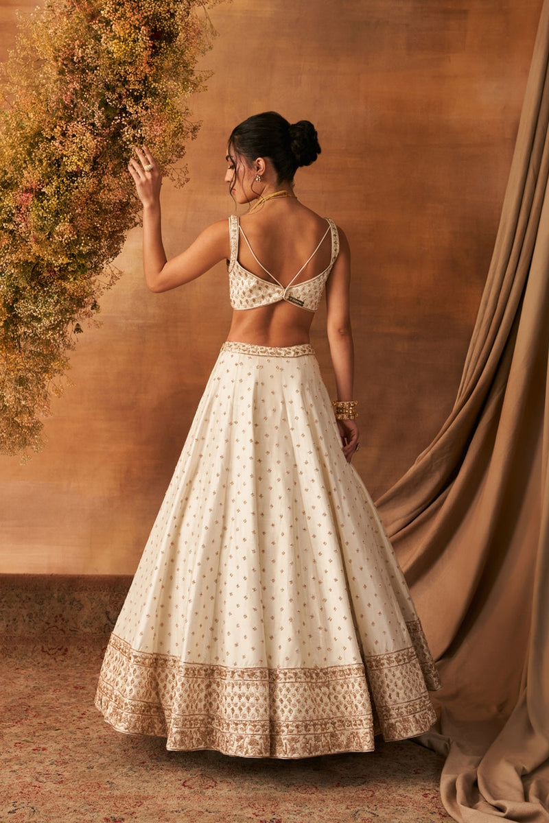 Leihao Lustre Lehenga Set