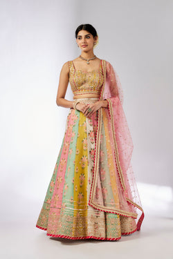 Sayali Lehenga Set