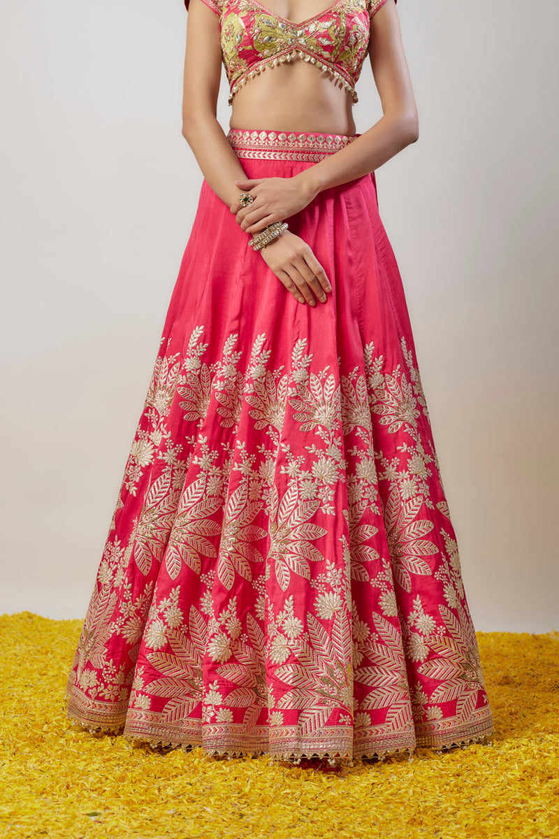 Alaya Lehenga Set