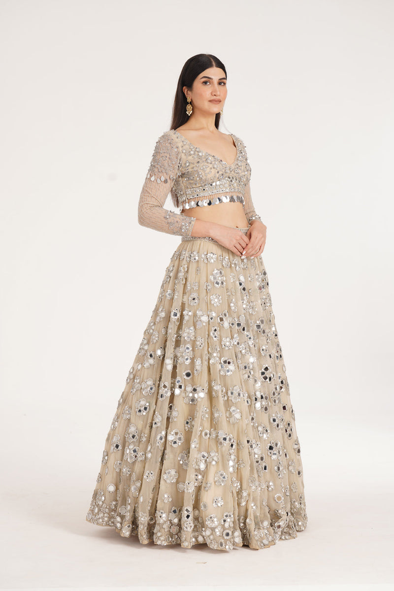 Pale Oak Lehenga Set