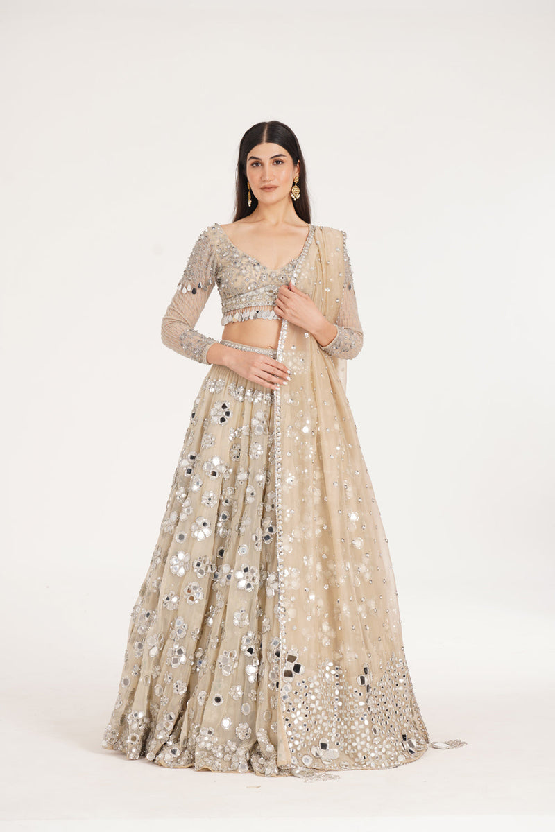 Pale Oak Lehenga Set