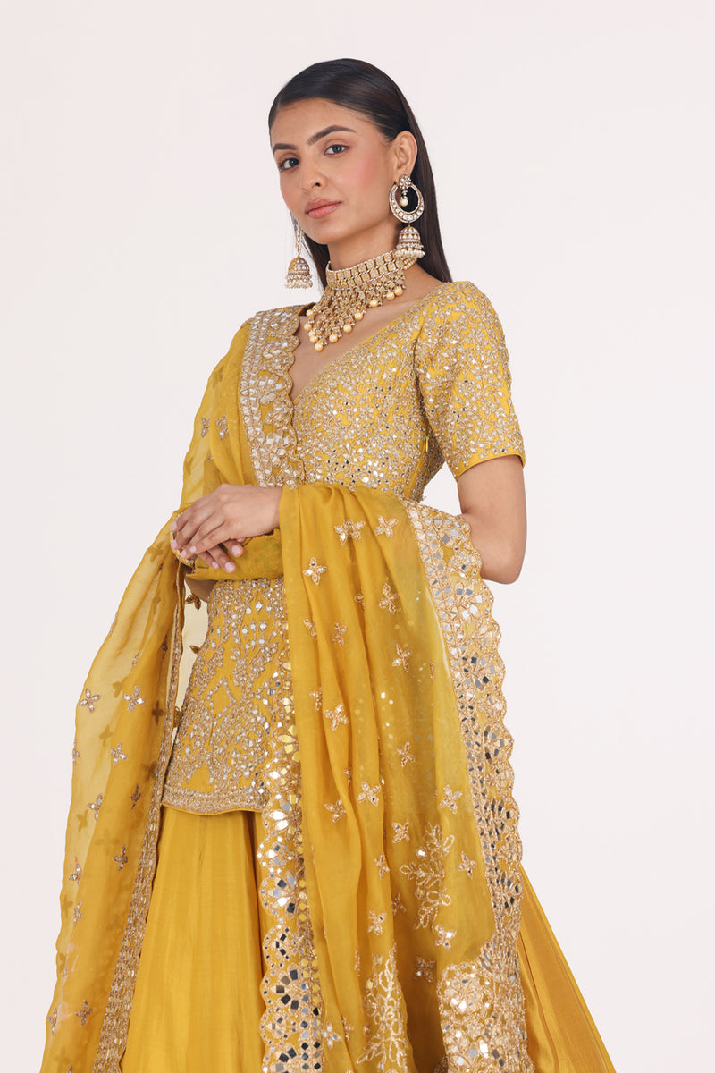 Goldenrod Haldi Embellished Lehenga Set