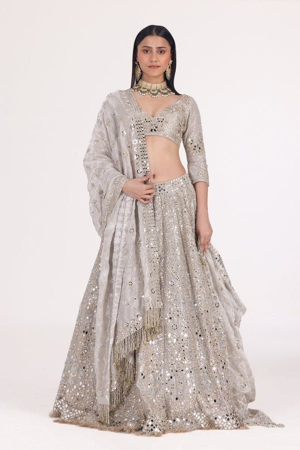 Silver Tissue Embellished Lehenga Set