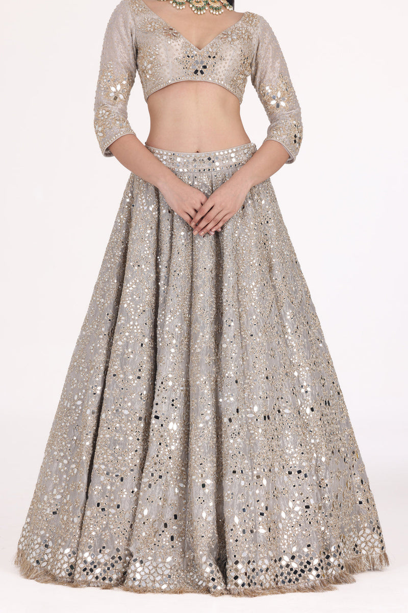 Silver Tissue Embellished Lehenga Set