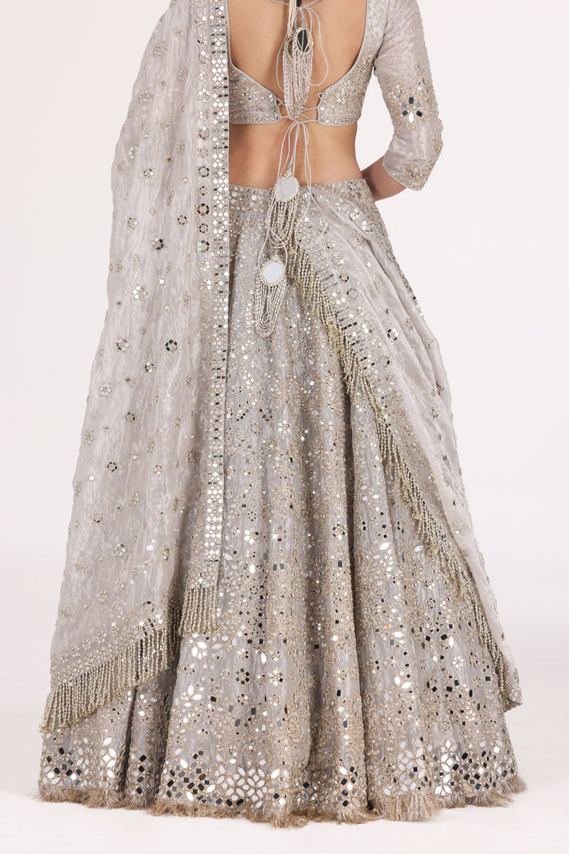 Silver Tissue Embellished Lehenga Set