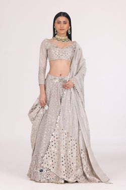 Silver Tissue Pattern Embellished Lehenga Set