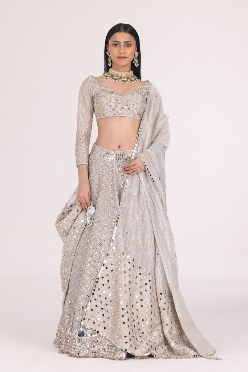 Silver Tissue Pattern Embellished Lehenga Set