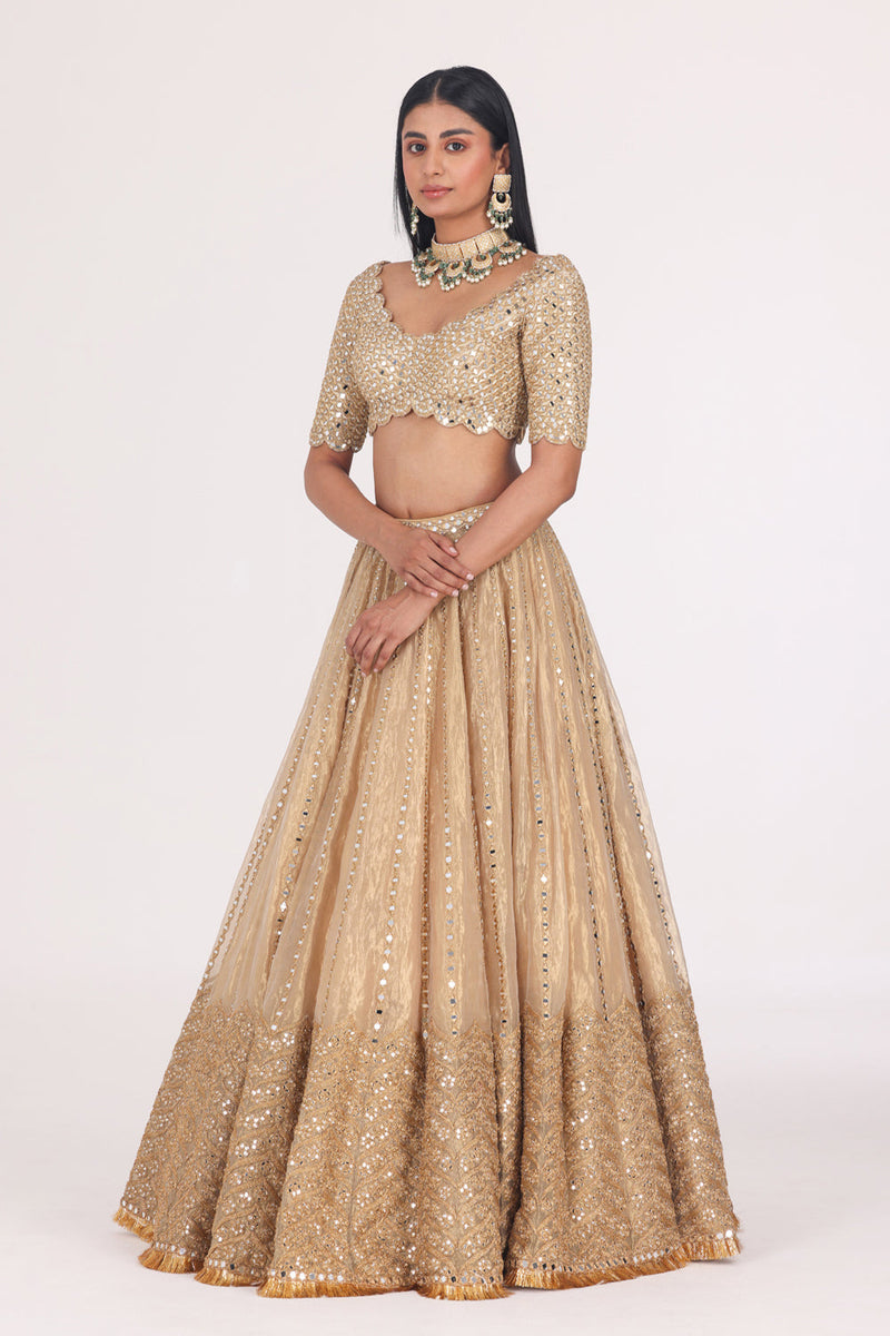 Mirror Embellished Tissue Lehenga Set