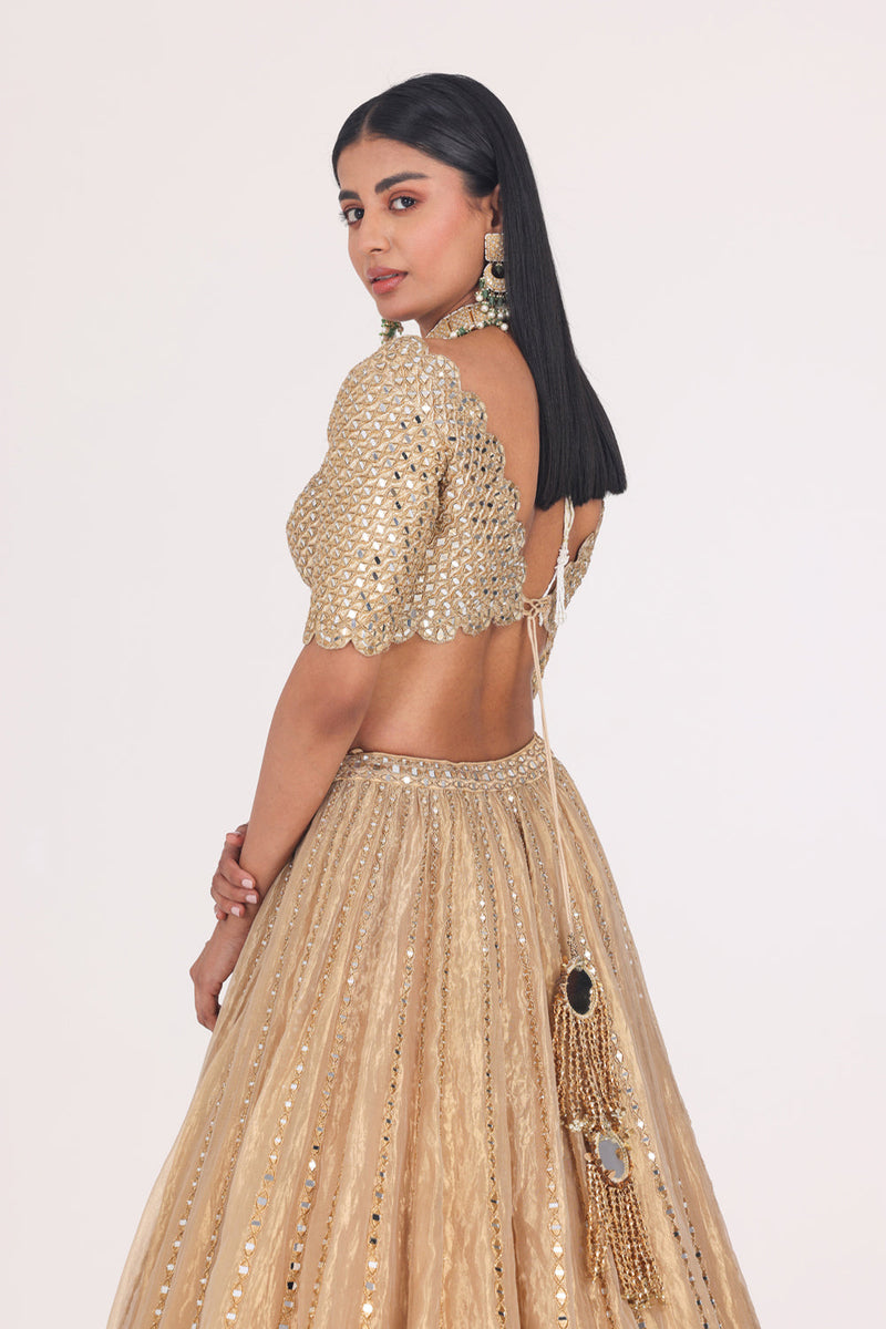 Mirror Embellished Tissue Lehenga Set