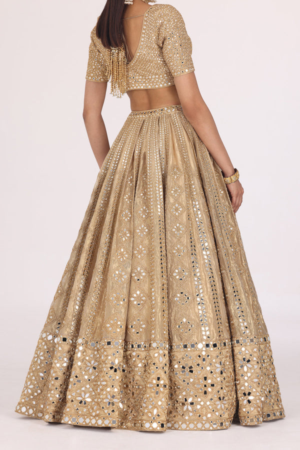 Pattern Tissue Lehenga Set