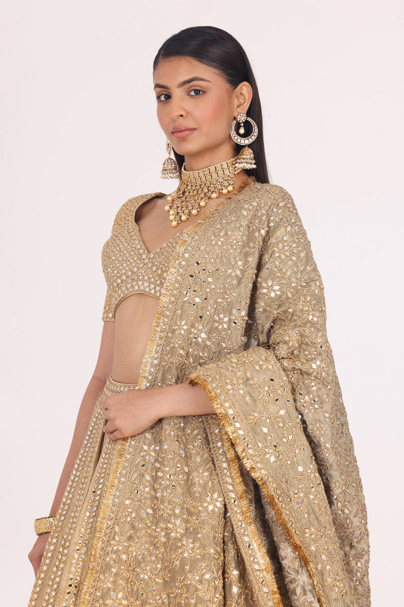 Pattern Tissue Lehenga Set