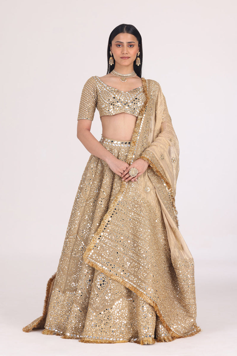 Floral Motif Tissue Lehenga Set