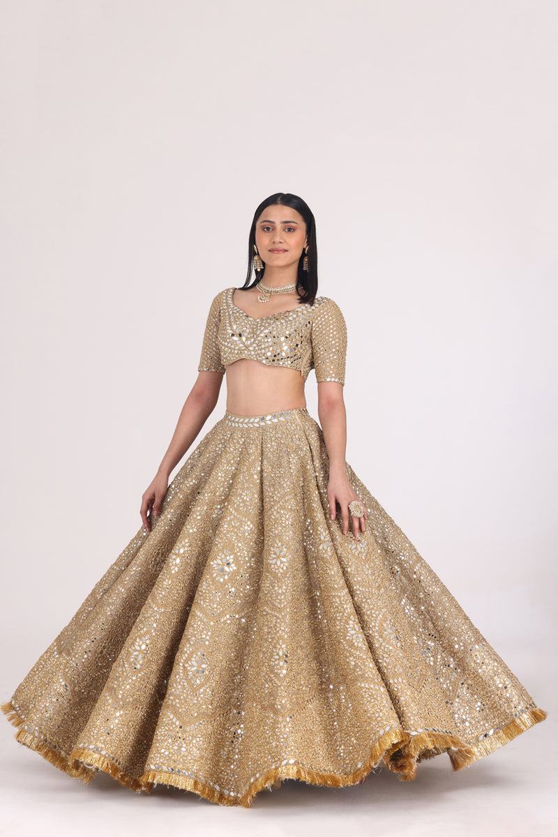 Floral Motif Tissue Lehenga Set