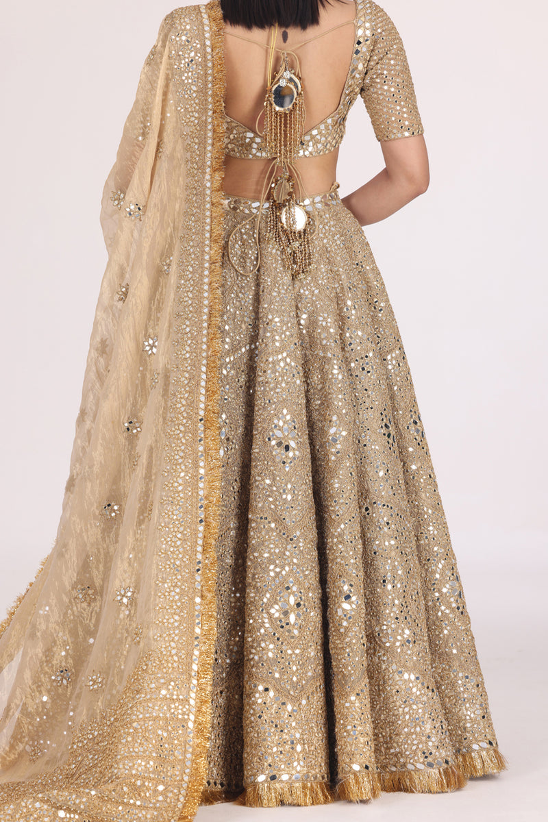 Floral Motif Tissue Lehenga Set