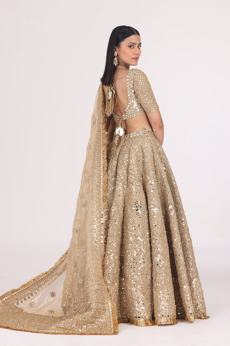 Floral Motif Tissue Lehenga Set