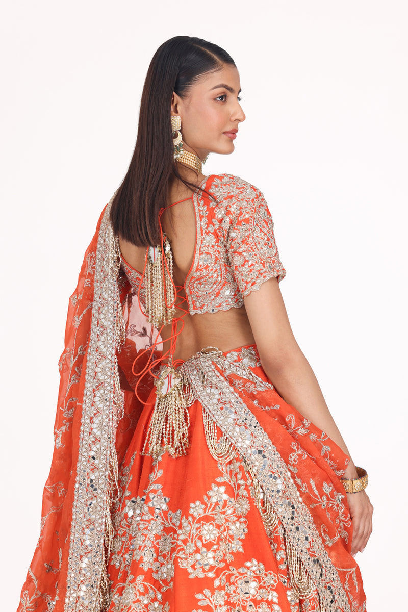 Amber Lehenga Set