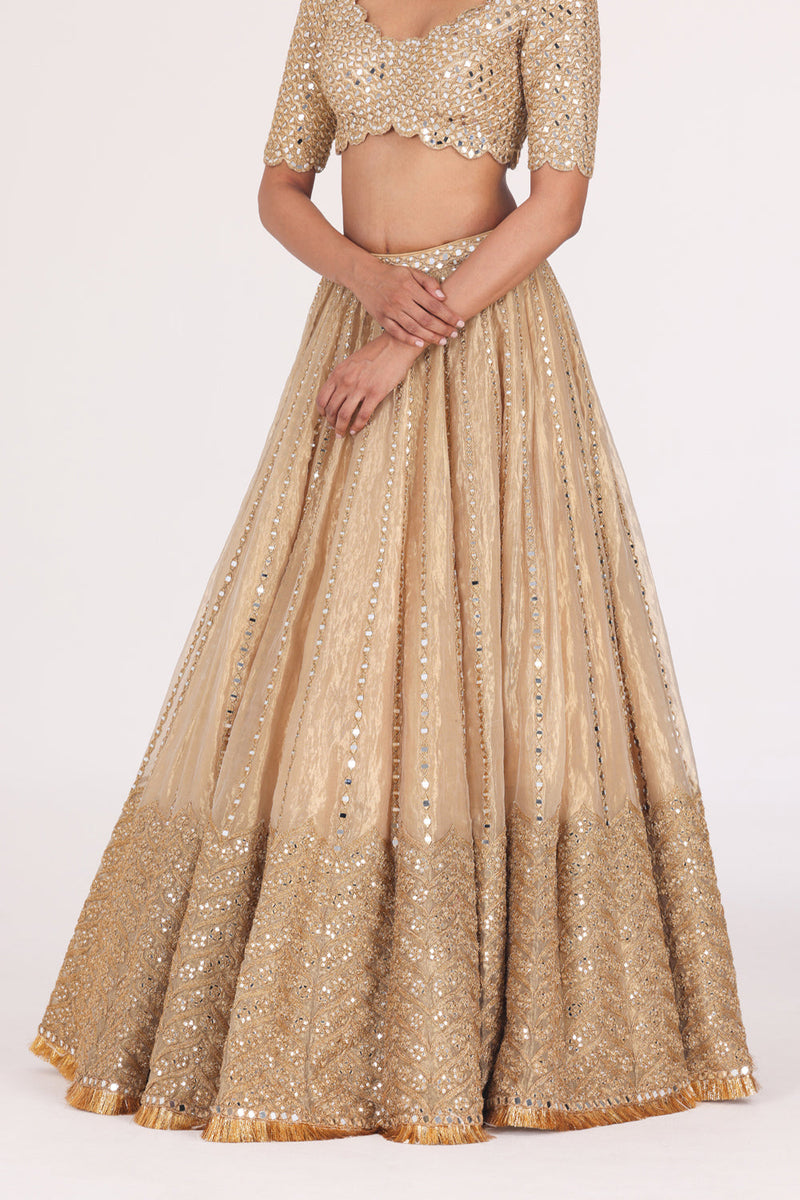 Mirror Embellished Tissue Lehenga Set