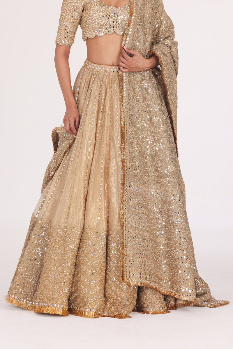 Mirror Embellished Tissue Lehenga Set