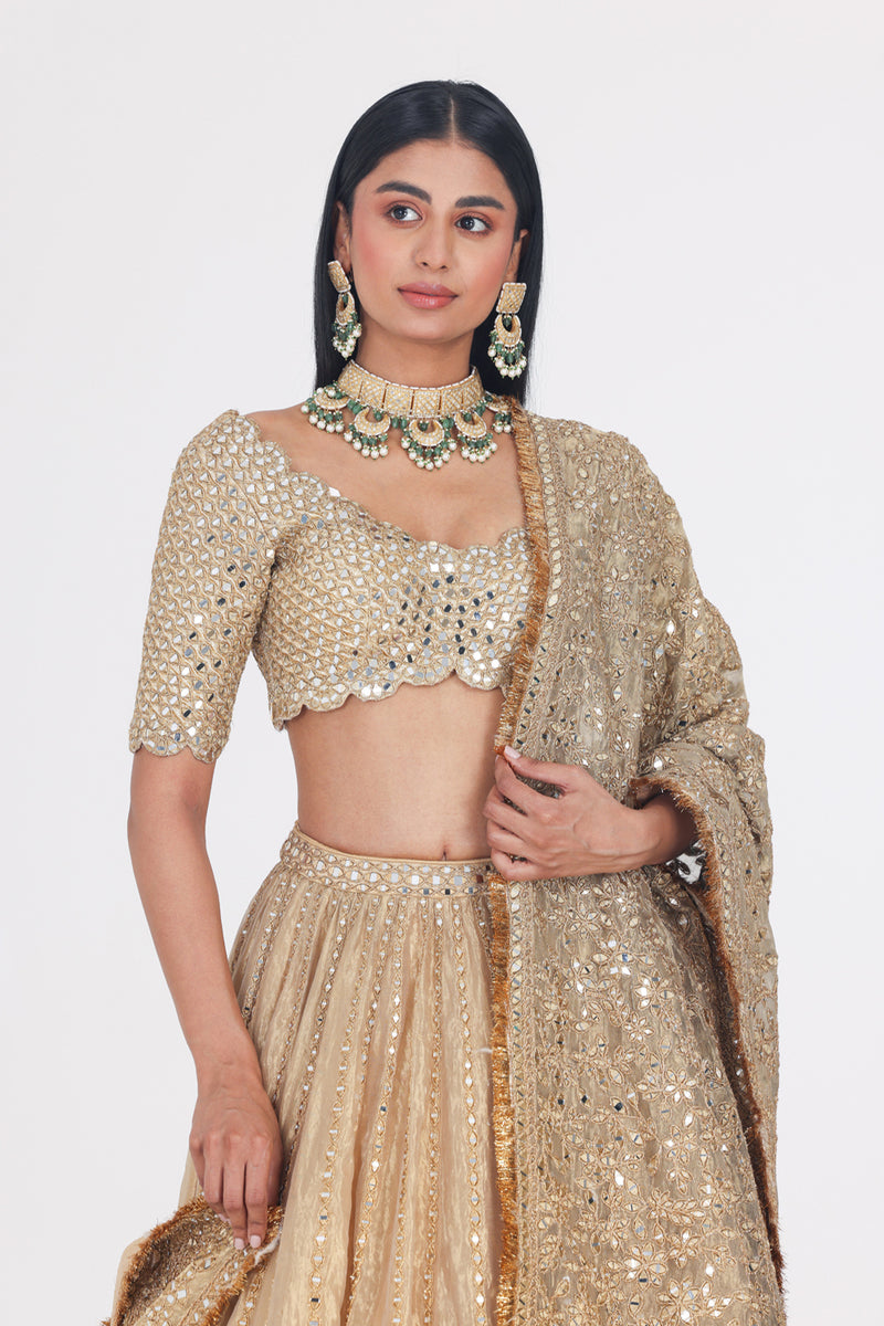 Mirror Embellished Tissue Lehenga Set