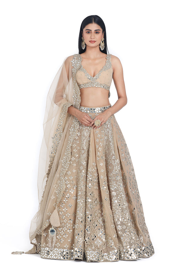 Blush Beige Lehenga