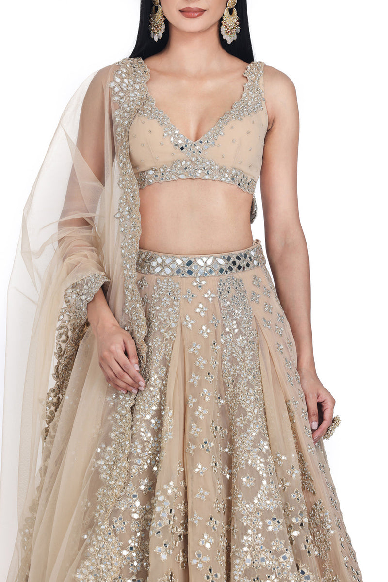 Blush Beige Lehenga