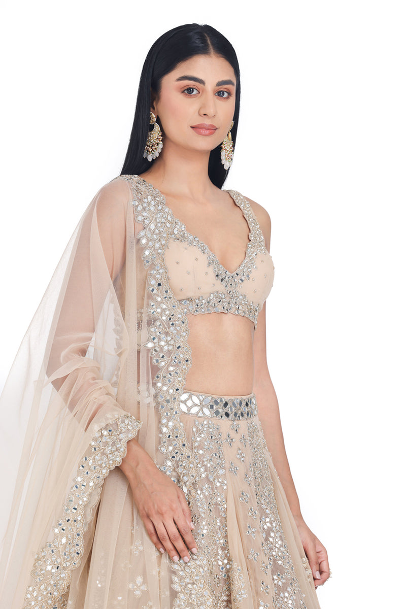 Blush Beige Lehenga