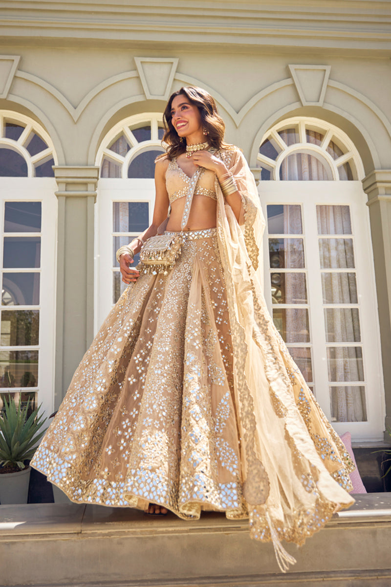 Blush Beige Lehenga