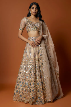 Gold Embroidered Lehenga Set