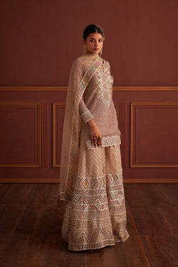 Multi-Colored Cutdana Embellished Sharara