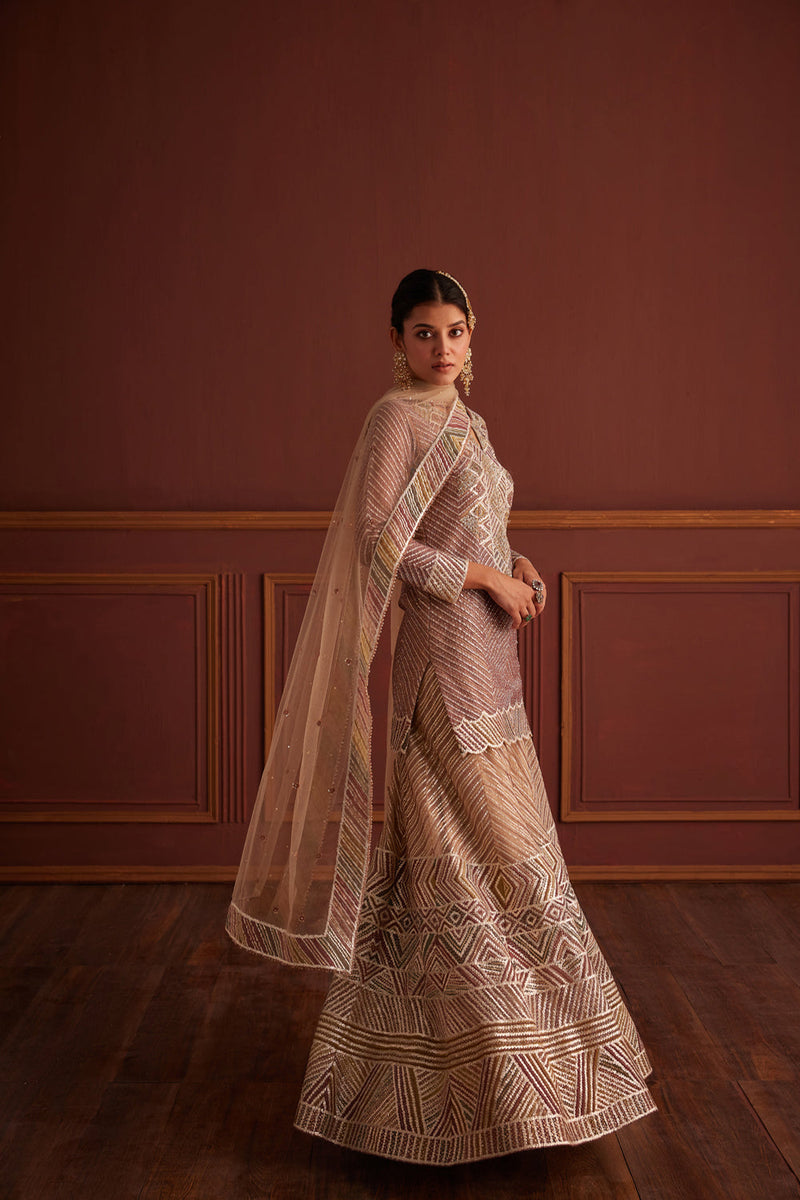 Multi-Colored Cutdana Embellished Sharara