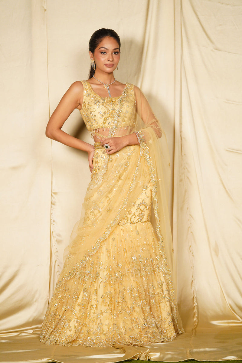 Gold Embroidered Fishcut Saree Set