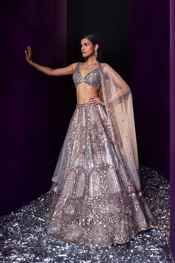 Champagne Organza Lehenga Set