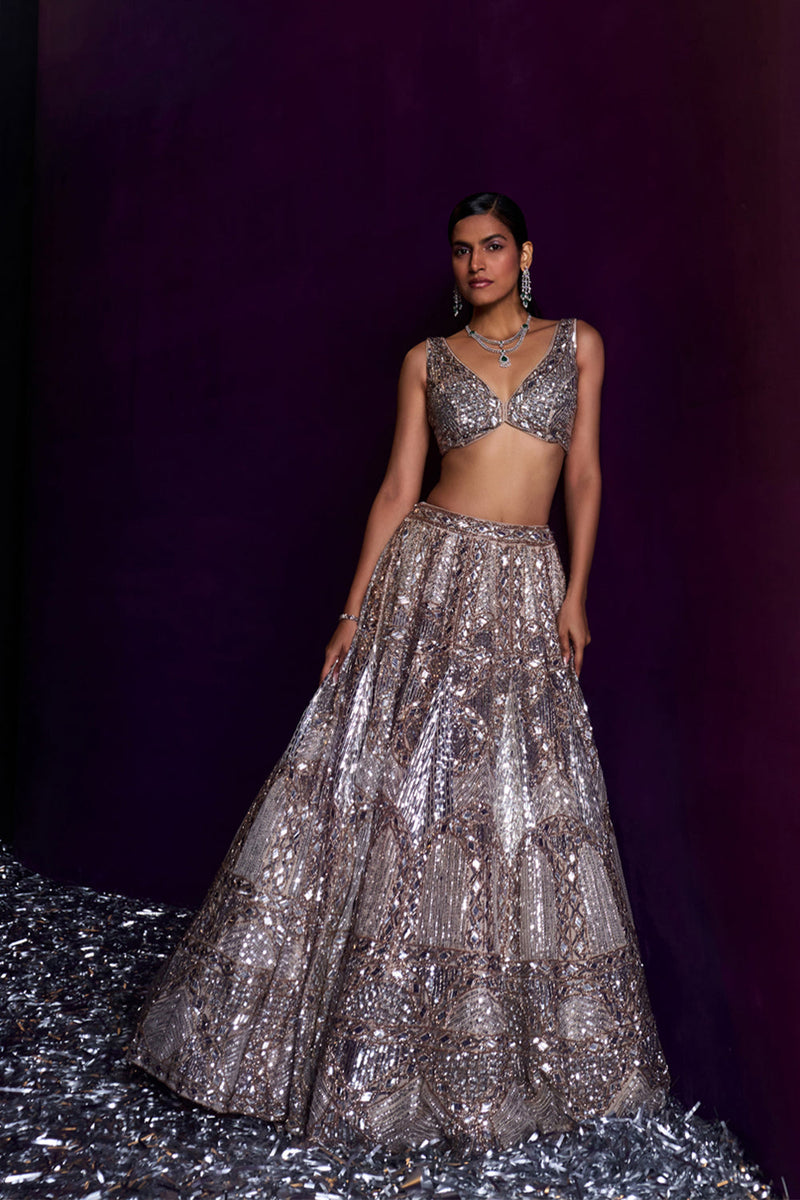 Champagne Organza Lehenga Set