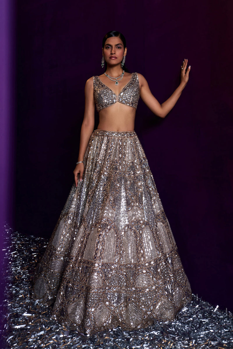 Champagne Organza Lehenga Set