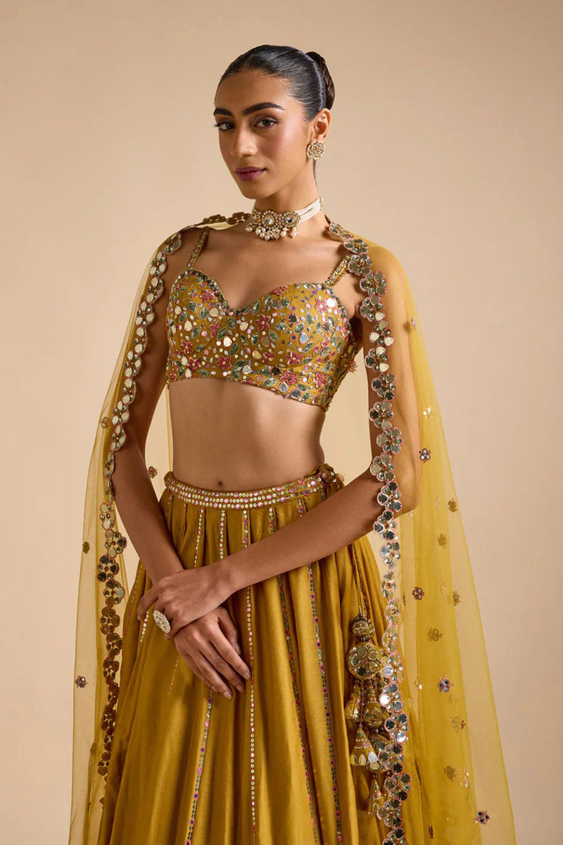 Dilruba Lehenga Set