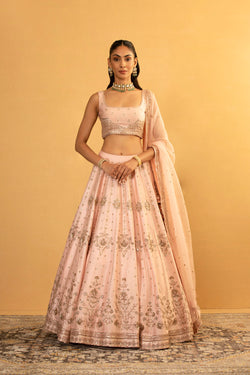 Pink Lehenga Set