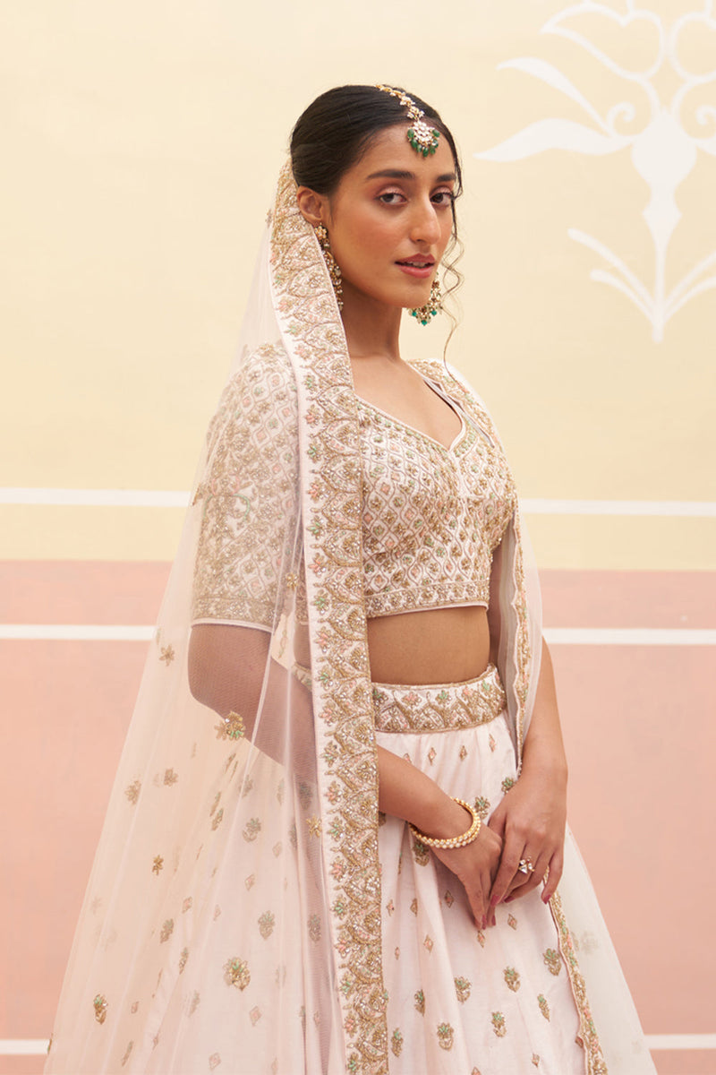 Blush Pink Raw Silk Lehenga Set