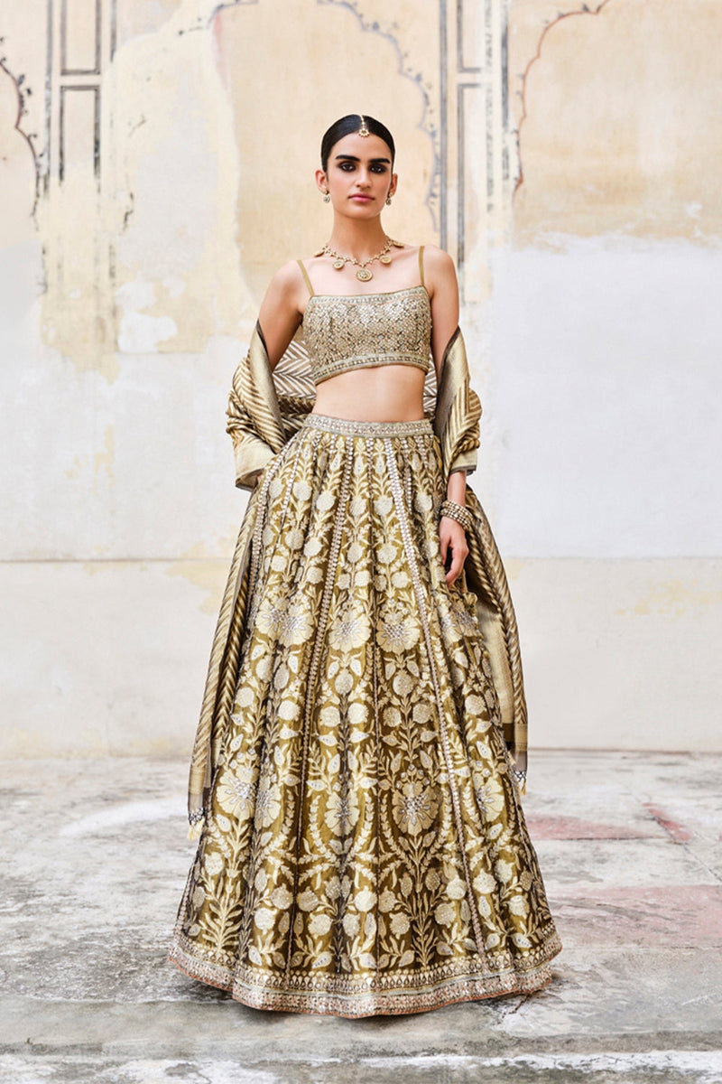 Adveka Handwoven Benarasi Silk Lehenga Set Olive