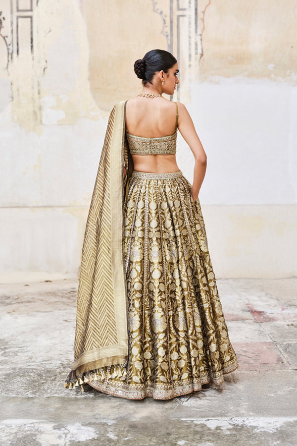 Adveka Handwoven Benarasi Silk Lehenga Set – Olive