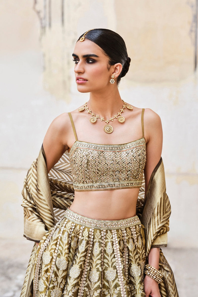 Adveka Handwoven Benarasi Silk Lehenga Set – Olive