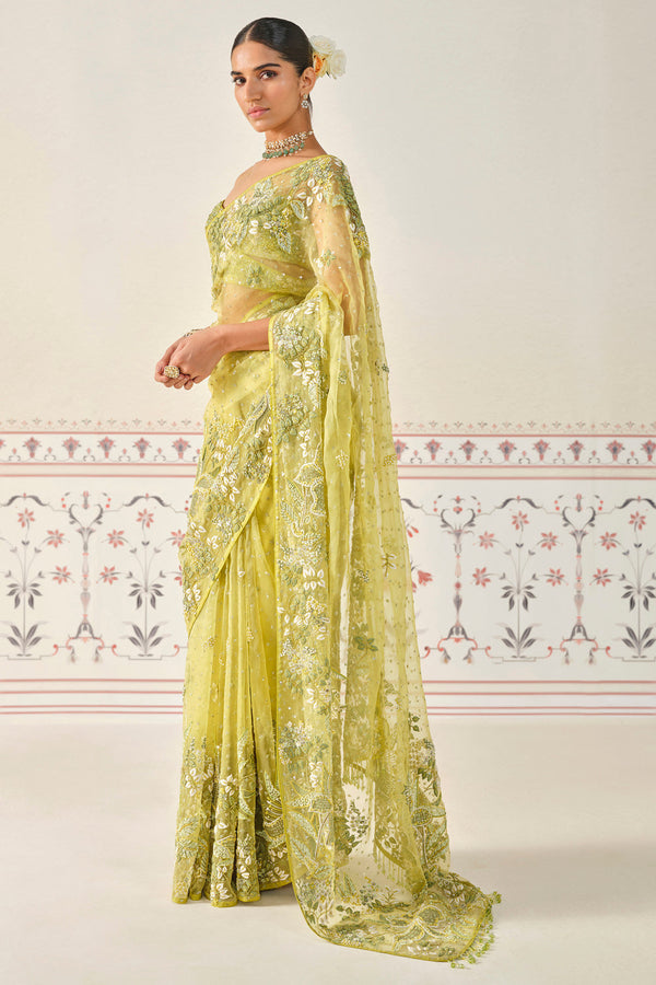 Mrigakshi Embroidered Saree Set - Lime