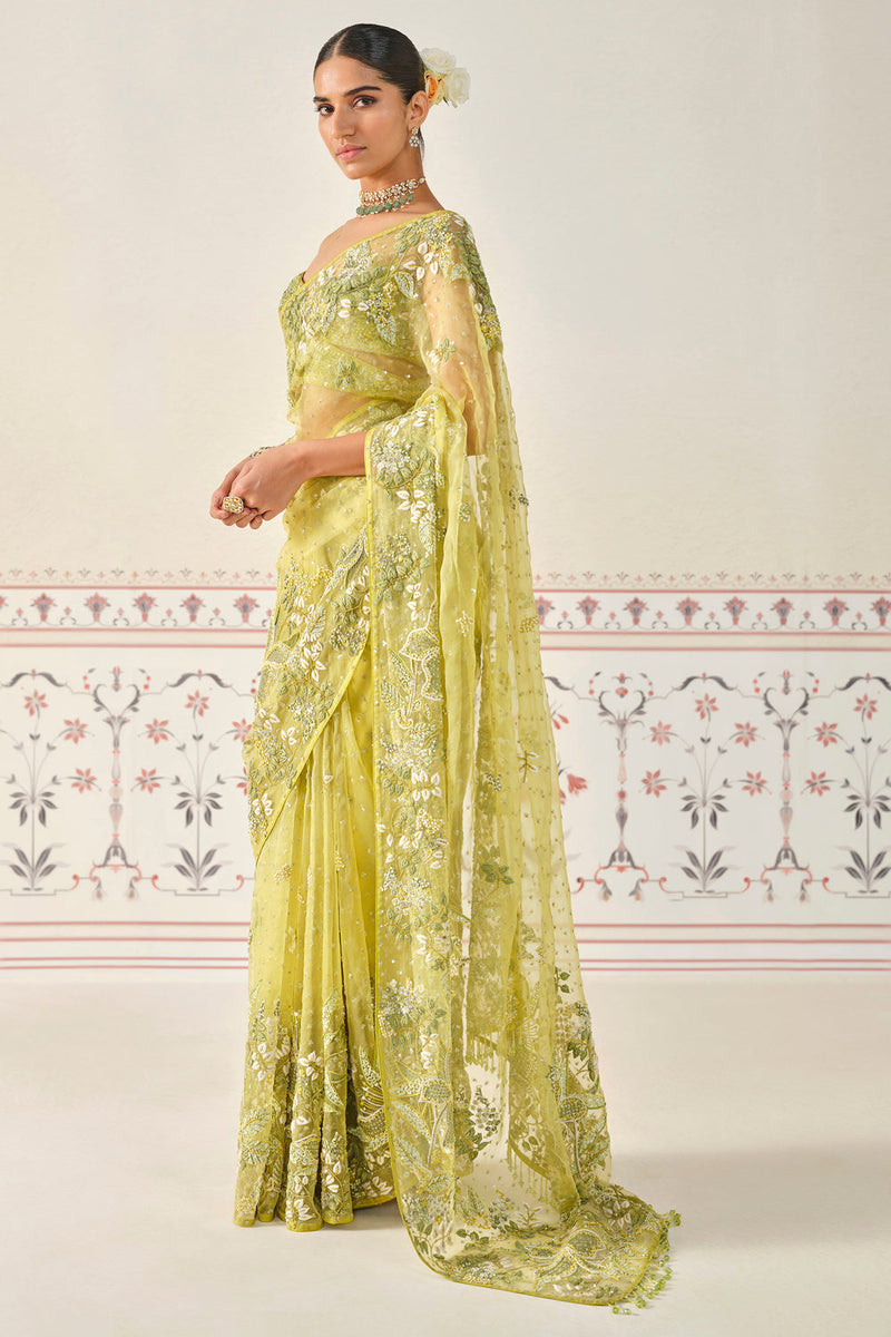 Mrigakshi Embroidered Saree Set - Lime