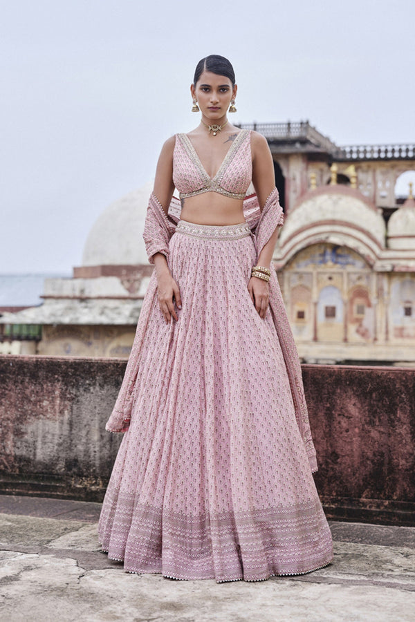 Alara Printed Mul Lehenga Set - Blush