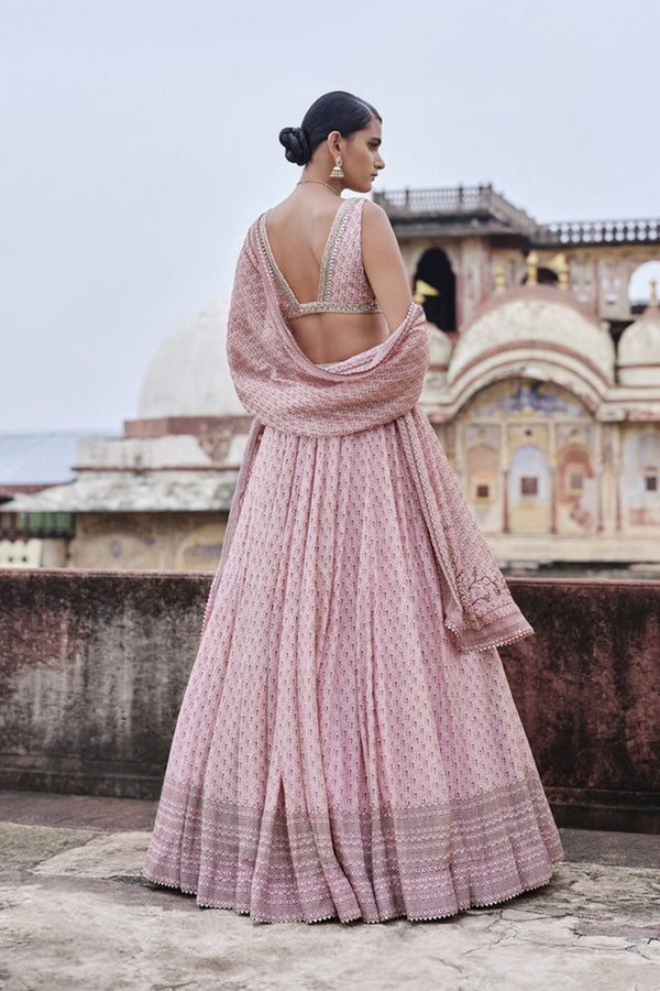 Alara Printed Mul Lehenga Set - Blush